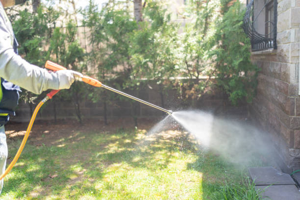 Lawn Pest Control in Glenview, IL